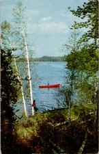 Postcard scarlet fishing for sale  Las Vegas