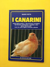 Canarini mario rota usato  Italia