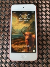 Ipod touch 5th for sale  BATHGATE