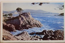 Cartão postal antigo vintage California CA Monterey Cypress Midway Point 17 Mile Drive comprar usado  Enviando para Brazil