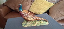 pheasants for sale  ACCRINGTON