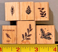 Evergreens wood rubber for sale  Astoria