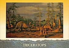 Tricératops grand cornu d'occasion  Expédié en France