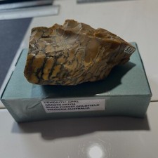 Usado, OPALA DENDRÍTICA DA GRANTS PATCH, WESTERN AUSTRALIA 70g MF6638 comprar usado  Enviando para Brazil