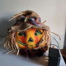 Fiber optic halloween for sale  Celina
