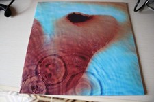 Pink floyd meddle usato  Pietragalla
