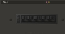 Roli seaboard keys for sale  Los Angeles