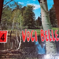 Raro libro bambini usato  Castiglion Fiorentino