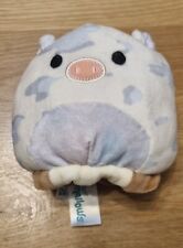 Squishmallows nia pig for sale  PAISLEY