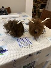 Scottish highland cattle for sale  LONDON