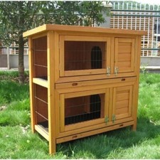 Bunny business rabbit for sale  GLOUCESTER