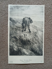 1930s vintage print for sale  YORK