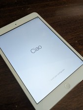 Ipad mini 16gb usato  Volpiano