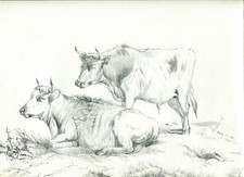 Dessin animalier original d'occasion Dessin animalier original d'occasion  Anet