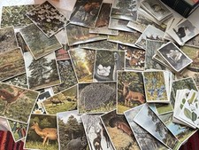 Konvolut 160 sammelwerk gebraucht kaufen  Kassel
