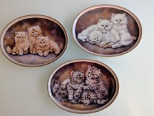 Bradford liebenswerte katzenki gebraucht kaufen  Rhauderfehn