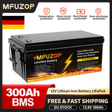 12v 300ah lithium gebraucht kaufen  Euskirchen