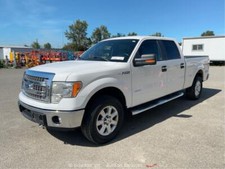 pickup ford 2014 f 150 for sale pickup ford 2014 f 150 for sale Kent
