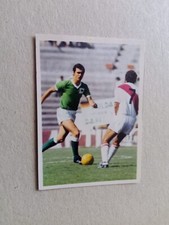 Bergmann beckenbauer gebraucht kaufen  Bad Ems