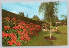 Women sunbathing flowers for sale  USA