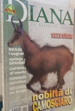 Diana 2000 coniglio usato  Salerno