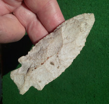 Kirk stemmed florida for sale  Allyn