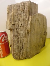 29.5 petrified wood for sale  Rockford