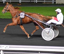 Methode turf perfectrot d'occasion  France