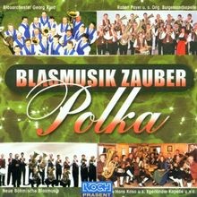 Blasmusik zauber polka gebraucht kaufen  Berlin