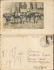 Campo corse quistello usato  Italia
