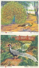 Sammelbilder voss kunstbilder gebraucht kaufen  Hannover