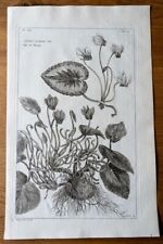 Grande gravure ancienne d'occasion  Le Rheu