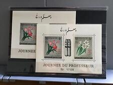 Afghanistan 1961 teachers for sale  HOVE