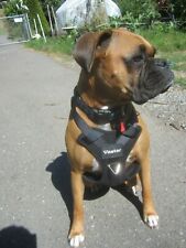 Vastar adjustable pet for sale  Fortuna