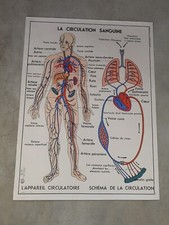 Affiche scolaire mdi d'occasion  Aubenas