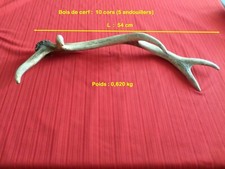 Bois cerf cors d'occasion  France