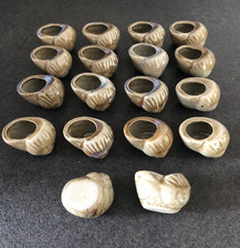 Lot coquille escargot d'occasion  Toulouse-