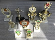 Assorted trophies job for sale  LIPHOOK