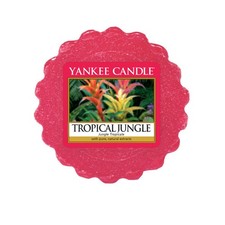 Tart fondere tropical usato  Carovigno
