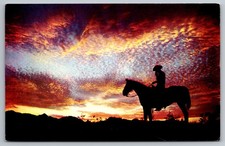 Cowboy horseback sunset for sale  Bridgeville