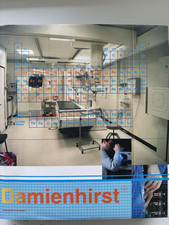 Damien hirst monograph for sale  BRENTFORD
