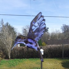 Purple aurora humming for sale  WEST CALDER