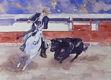 Original spanish bullfighting for sale  Houston