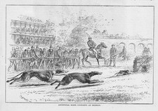 Greyhounds artificial hare for sale  GLASGOW