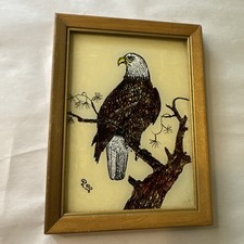 Vintage 1980 bald for sale  Paisley