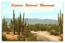 Cartão postal 1970 Roadway Saguaro National Monument Cactus Tucson Arizona AZ A28 comprar usado  Enviando para Brazil
