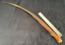 Golden pheasant tail for sale  Oakville