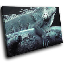 Blue black iguana for sale  STRABANE