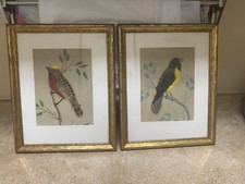 Pair vintage feather for sale  Naples