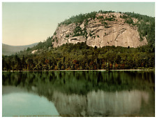New hampshire white d'occasion  Pagny-sur-Moselle